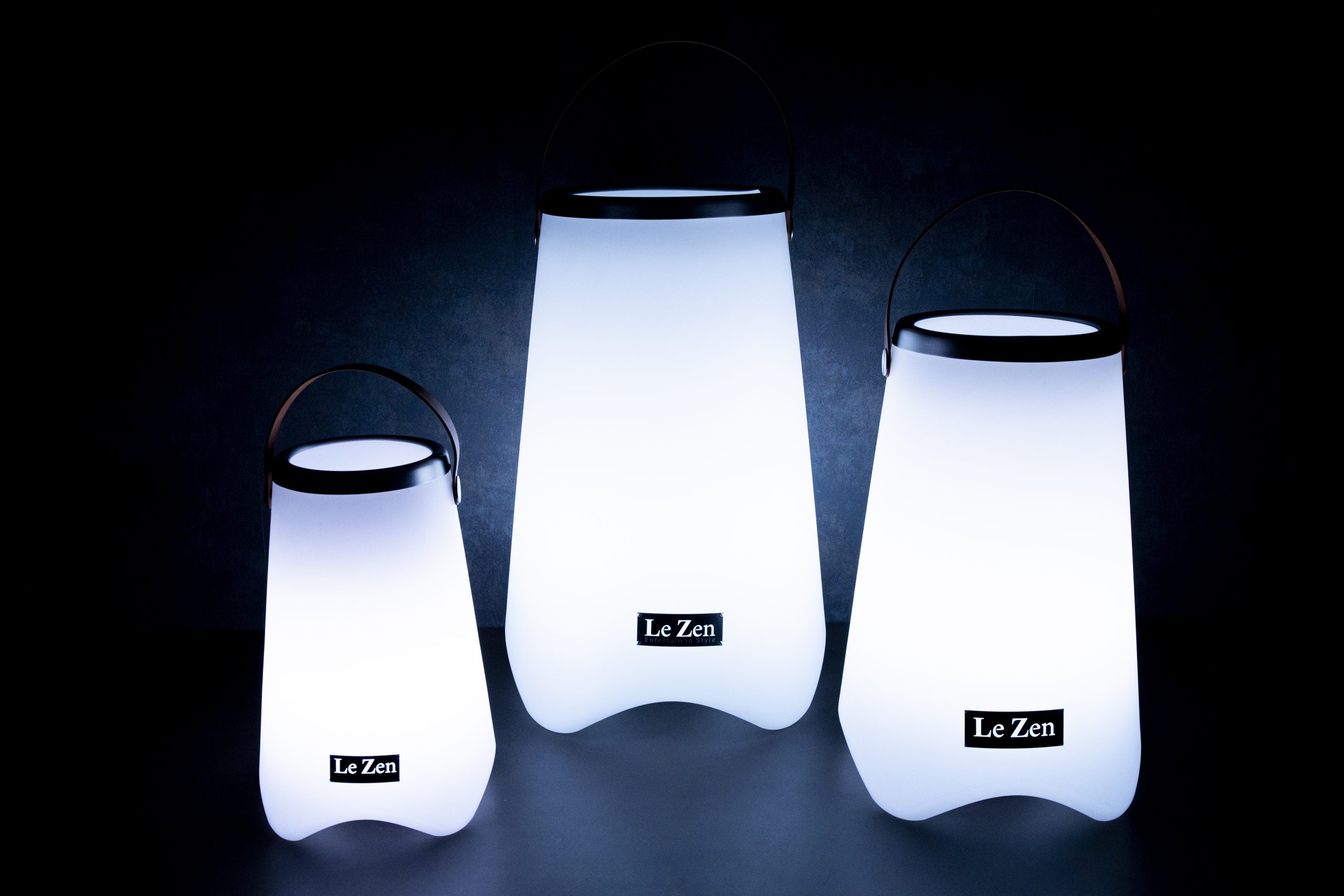 Le-Zen-group_1-scaled